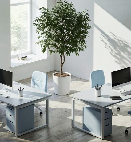 збірка меблів київ